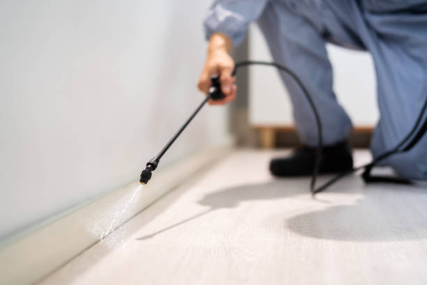 Licensed Pest Control service in Hot Springs Village, AR - Show Me Pest Control
