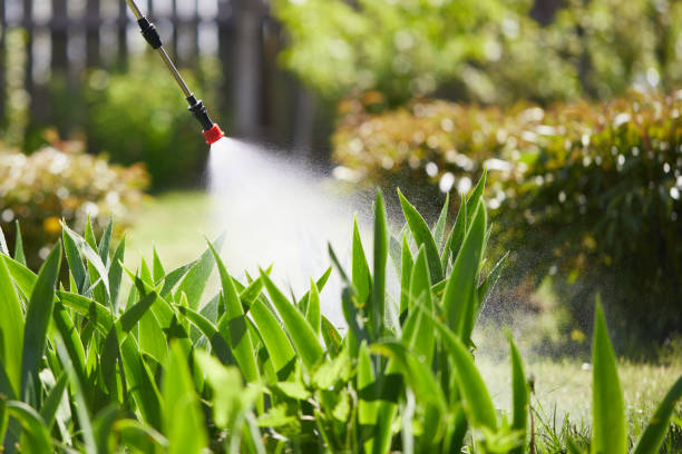 24/7 Emergency Mosquito Control experts in Hot Springs Village, AR